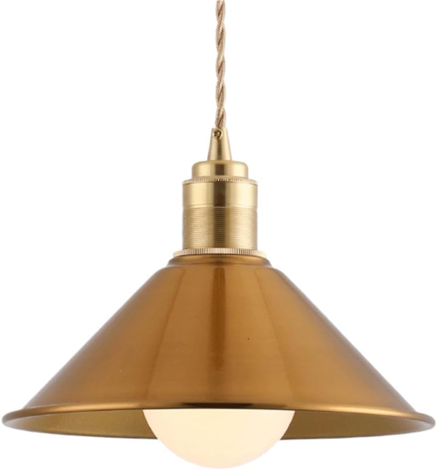 Suspension de personnalité créative en métal noir 30 cm avec fixation de plafond encastrée