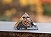 Ayana Crystals Piezo Electric Orgonite Pyramid with Bionized Black Tourmaline Crystals - Handcrafted, Positive Energy Generator, Chakra Healing