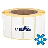 tk-6072 Tiefkühlfeste Papier-Etiketten - Ideal zur Kennzeichnung von tiefgekühlten Lebensmitteln und anderen Produkten