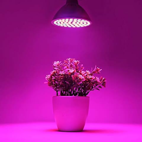 Lámpara Planta Crecimiento Frcolor Cover