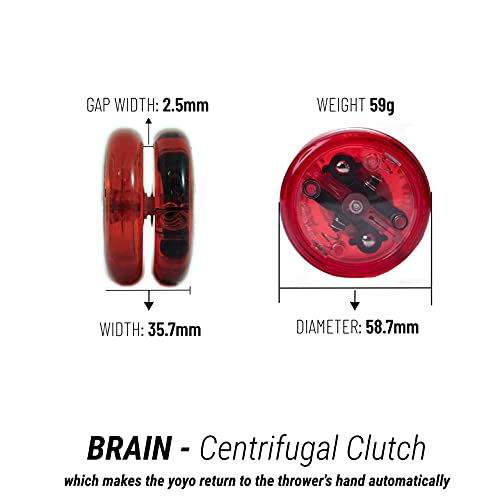 image for Yomega 2 Legendary Spinners The Original Yoyo with A Brain and Firebal