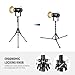 NEEWER Light Stand All Metal with 180° Reversible Legs, 70