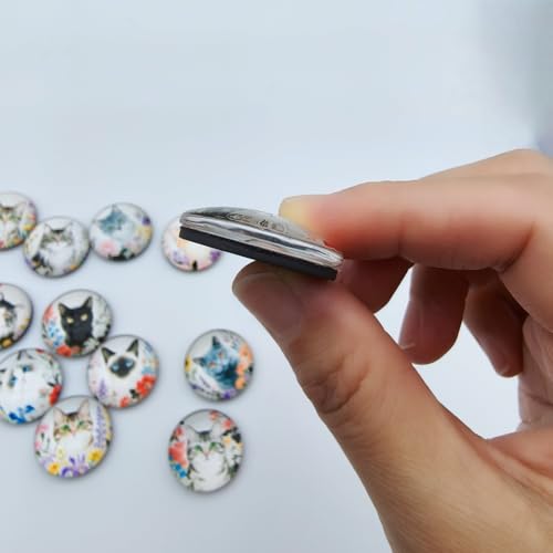 12 imanes decorativos de gato para refrigerador miniatura 4