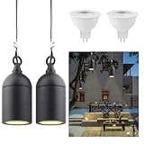 Cheopha Outdoor Pendant Hanging Lights,12V Low Voltage Landscape Lighting, Replaceable MR16 LED Bulb Warm White, Waterproof Light for Porch Pergola and Tree Lighting 2-Pack