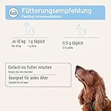 AniForte Bierhefe Pulver für Hunde 500g - Naturprodukt für glänzendes, kräftiges Fell & Vitale Haut, Mit Biotin & Vitamin B für Hunde