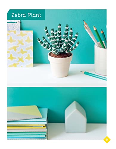 Adorable Houseplants to Crochet
