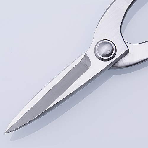 Tianbonsai 0520800535941 Mu Tian Bonsai Scissors Bonsai Shear Top Pruning Scissors 200 Mm Blacksmithing thumb #1