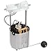 Delphi FG1052 Fuel Module