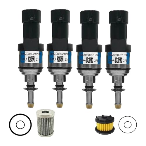 Iniettore Carburante Per CNG Per GPL IN03 Per Blu Per Albien Iniettore MY07-MY09 4 Pcs GPL Per BRC Injektor 09SQ99020021 Ugello Iniezione Carburante