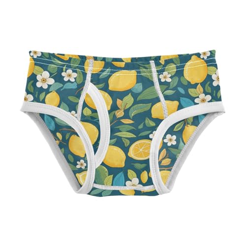 Wusikd Lemons Boys' Underwear Cotton Leaves Flowers Boys Briefs Soft Toddler Underwear 2T