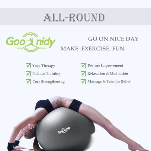 Image of PL-0002 Soft Exercise Ball, Anti-Burst Yoga Ball Chair Supports 2200lbs PL-0002