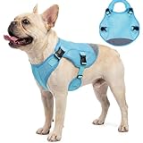 Hjyokuso Hunde Kühlweste M, Atmungsaktive Kühlweste für mittelgroße Hunde, Verdunstungskühlung, Leicht & Saugfähig, Reflektierende Streifen, Verstellbarer Bauchgurt, Einfach An- und Ausziehen Grün