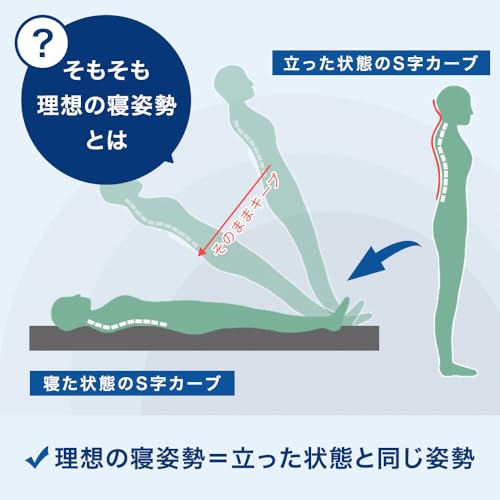 Goo3D《グッスリード》マットレス クイーン【3D構造で理想の寝姿勢】厚み10cm 高反発 硬さ190N 三つ折り 敷布団 洗える メッシュ 43300158(108842) [5]