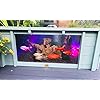 Clear View Garden Aquarium Lotus Gartenteich, quadratisch mit Fenstern