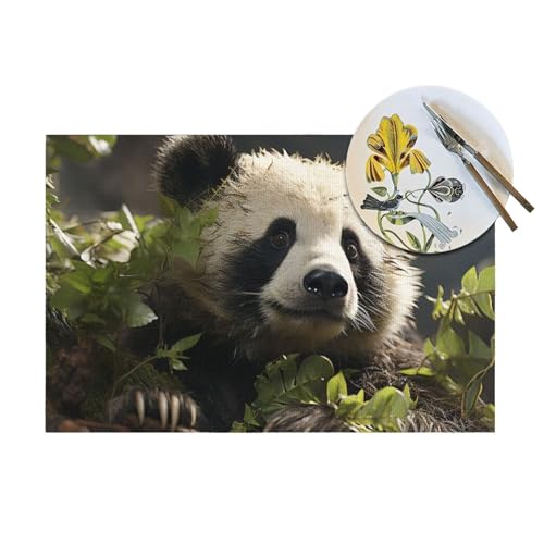 Sets de table tissés Panda de cuisine lavables en PVC antidérapant - 8
