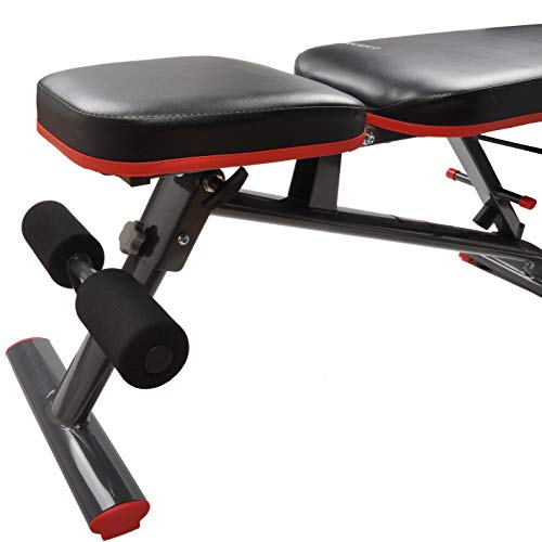 HulkFit Adjustable and Foldable Utility Weight Bench for Upright, Incline, Decline, and Flat Exercise (Regular)
