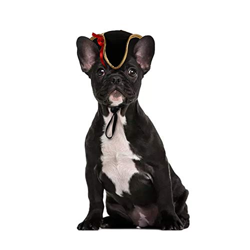 BinaryABC Halloween Pet Pirate Hat,Halloween Pet Dog Cosplay Costume Accessory Photo Props,15 x 11 x 5.5cm BinaryABC Halloween Pet Pirate Hat,Halloween Pet Dog Cosplay Costume Accessory Photo Props,15 x 11 x 5.5cm
