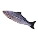 Li-ly 1 Pcs Saumon Chat Poisson Jouet Pet Jouet Chat Oreiller Chat en Peluche Jouet Chaton Jouets Drôle Chat Jouets 30 CM Haute Qualité