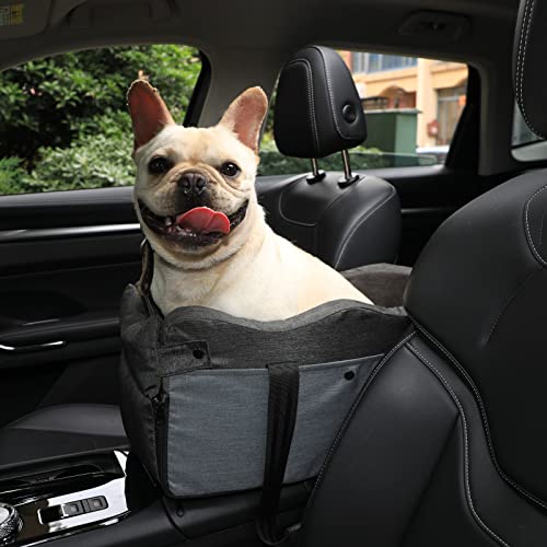 The Best Car Console Seat For Dogs 15 Dog Console Car Seat Dog Car Seats for Small Dogs ...