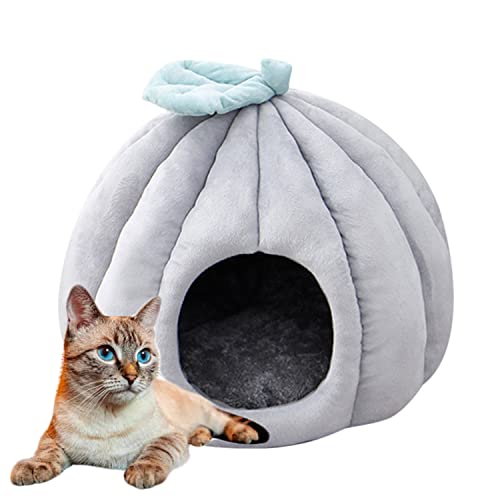 L xbh L nEX Lxbh  xbh ybgxbh ybgp Q ~p h[^ NbV ybgnEX LbgnEX ۉh ΍ ӂӂ 􂦂 K _炩 pxbh Lp ybgpi (M,O[)