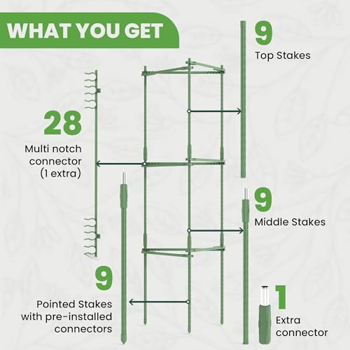 Tomato Cage - Trellis Stakes and Plant Support Structures for Vegetables and Climbing Plants - Tall Tomato Cages for Garden, Pots, Raised Garden Bed Outdoor (3 Pack - Up to 48 Inches) - Thumbnail 4