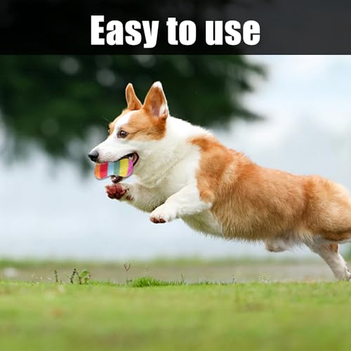 NyxSeat 4 Stück Obst-Plüschspielzeug, Hell Und Niedlich, Obst-Haustierspielzeug, Bissfest Und Geräuschvoll, Lindert Die ängste Von Hunden, Geeignet Für Kleine Und Mittelgroße Hunde.