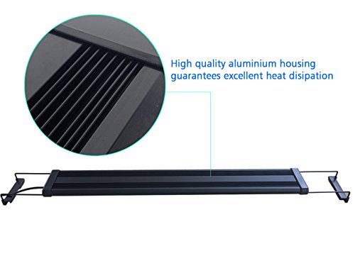 image for COODIA Aquarium Hood Lighting Color Changing Remote Controlled Dimmabl