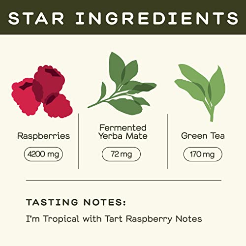 Greenhouse Juice Organic Pick-Me-Up Wellness Shots 12-Count 60ml Glass Bottles | Yerba Mate + Green Tea Energy | Vegan & Gluten-Free - Image 5