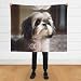 WZYWHJ Shih Tzu Flanelldecken mit Hundemotiven sind super weich, warm und leicht, geeignet für Sofas und Betten