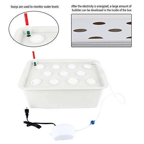 Homend Indoor Hydroponic Grow Kit with Bubble Stone, 11 Sites (Holes) Bucket, Air Pump, Sponges - Best Indoor Herb Garden - Grow Fast at Home - Image 4