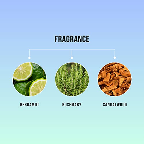 HASK Invigorating Tea Tree Oil Shampoo, thickening for all hair types, colour safe, and cruelty-free - 1 355mL Bottle - Image 4