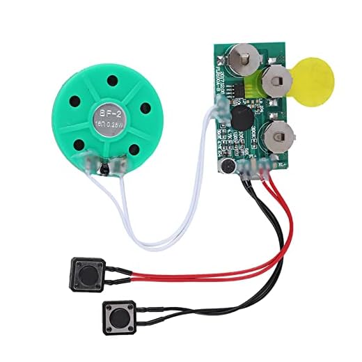 Module Vocal Enregistrable pour Carte de Voeux DIY Musique Son Parlez Puce Musical Audio Radio Recorder Regard pour Cartes de Noël, Boîtes à Cadeaux Créatives, Boîtes à bijoux, Jouets pour enfants