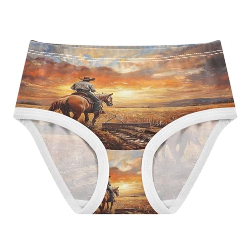 American West Cowboy Toddler Girls's Underwear 2T 202b8713