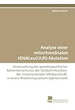  Analyse einer mitochondrialen tRNALeu(UUR)-Mutation: Untersuchung des gewebsspezifischen Pathomechanismus der A3302G-Mutation der mitochondrialen tRNALeu(UUR) in einem Rhabdomyosarkom-Zybridmodell