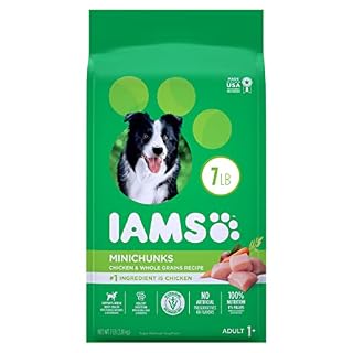 UPC 019014711086 product image for IAMS Adult Minichunks Small Kibble High Protein Dry Dog Food with Real Chicken,  | upcitemdb.com
