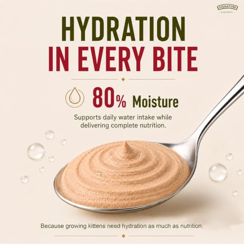Image of Grain Zero Adult Cat Wet Mousse 80g Pack of 5, (400g) | Salmon Flavour | Rich in Protein | Hydrating & Easy to Digest | No Artificial Flavours | Packed with Essential Vitamins & Antioxidants