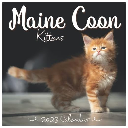 Maine Coon Kittens Calendar: 18-month 2023 Calendar (July 2022- December 2023) with 8.5" x 8.5" trim size - The Best Gifts for Everyone
