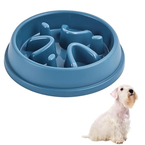 Lifetips V[neAiSealyham Terrierj ybgpX[t[h{E Lp Hh~  Փx ~ 􂢂₷ NǗ 킢fUC iA^Cv X[L[u[j