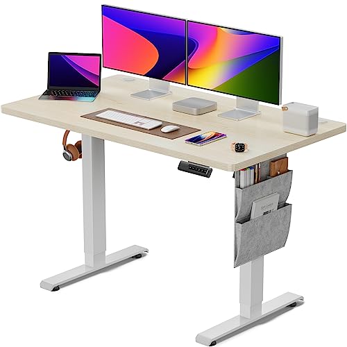 Marsail Electric Standing Desk, 48x24 Inch Adjustable Standing Desk with Storage Bag Stand up Desk for Home Office Computer Desk Memory Preset with Headphone Hook