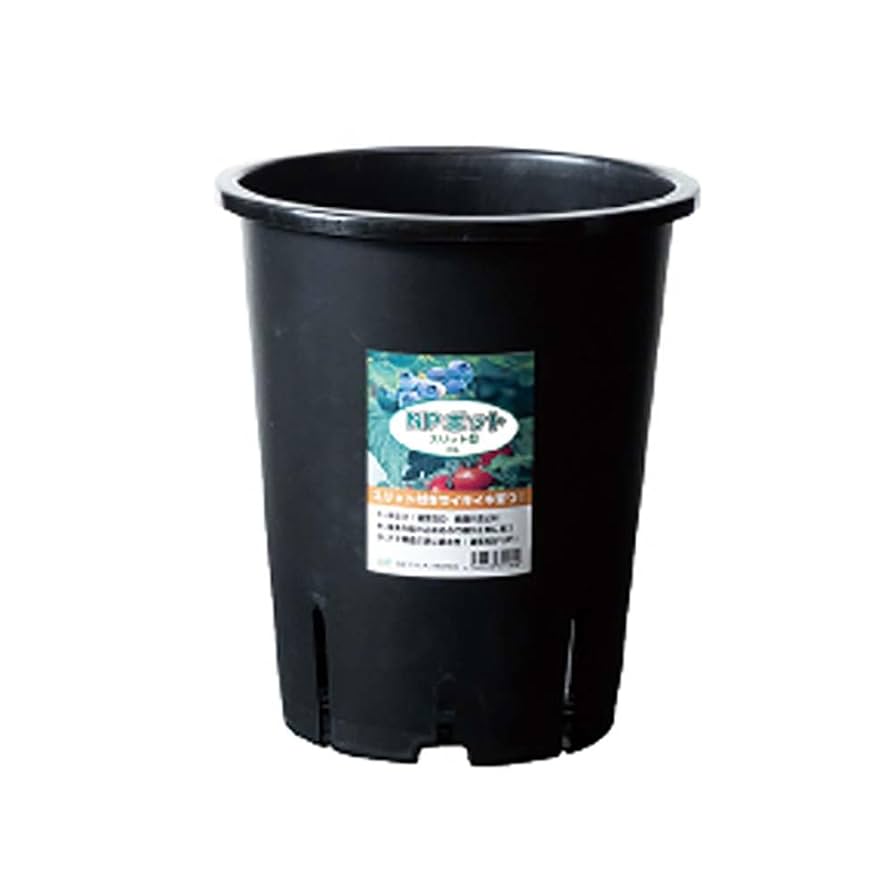 HeapUpOctaverプラッタ　FR 希少 Amazon | BEET (ビート) スリップオンマフラー ナサート