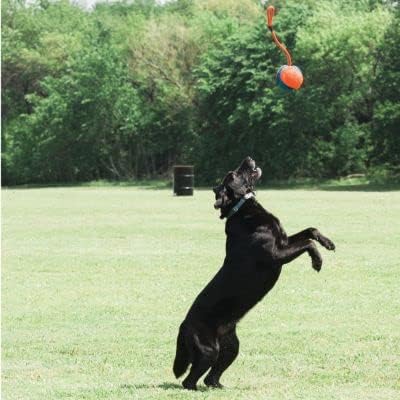 Unleash the Fun: Chuckit! Rope Fetch Toy Review for Ultimate Dog Playtime