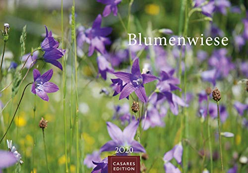 Preisvergleich Produktbild Blumenwiese S 2020 35x24cm