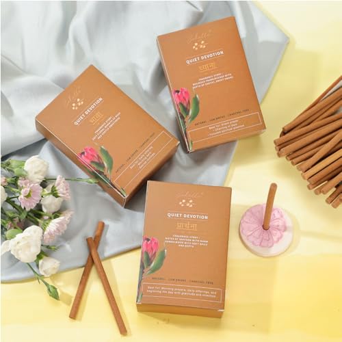 Image of Dhyāna Bambooless Incense Sticks | Resinous Frankincense Fragrance | Low Smoke Bamboo-Free Incense for Meditation, Prayer & Chanting | Aromatic Incense for Spiritual Ambience (Pack of 30)