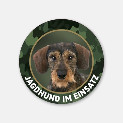 Dackelaufkleber Jagdhund im Einsatz Rauhaardackel, Teckel, Dachshund Premiumaufkleber rund