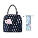 Binoster Sac Isotherme Repas Bureau Lunch Bag Sac à déjeuner Fraîcheur Sac de Transport Repas Pique-Nique Sac de Poche Toile Imperméable isolé pour Femme, Homme,École et Bureau Filles Enfants