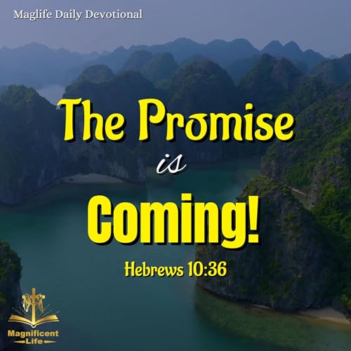 The Promise is Coming!