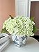 YalzoneMet RUZUQE 3 Pcs 21 in Artificial Light Green Hydrangea Natural Lifelike Real Touch Faux Large Royal Hydrangea for Home Party Outdoor Wedding Decor Table Centerpiece Artificial Flower