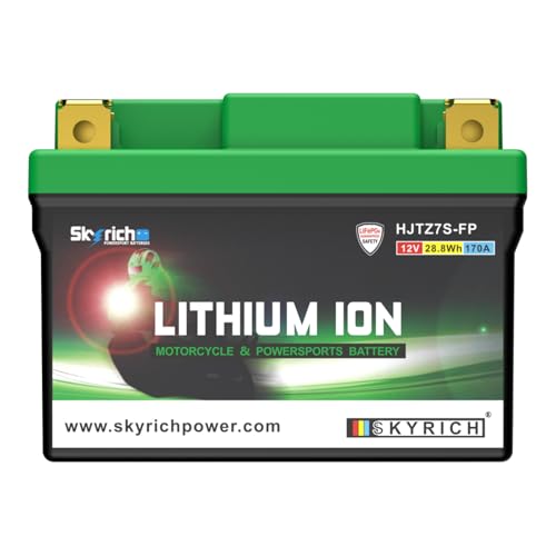 Skyrich HJTZ7S-FP Starterbatterie