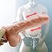 8 Inch Dildo Realistic Dildo for Beginners - Dildo for Sex Women Realistic Dildos Vibrator for Women Pleasure - Soft Silicone Realistic Dildos Dildo Suction Cup Hand Free Dildos Tshirt