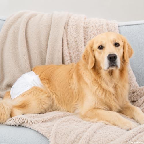 TRIXIE Hundewindeln für Hündinnen Gr. L, 12 St., 38–56 cm Taillenumfang